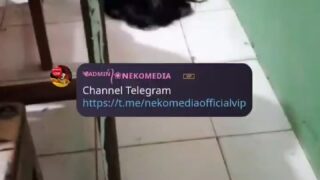 Abg Indo Viral Terbaru 2025 Ketagihan Dengan Paha Slebew New Top Trending Viral Wikwik